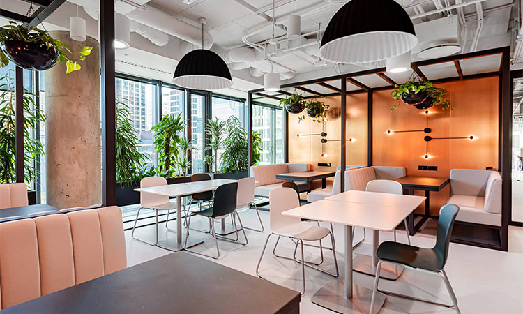 上海辦公室裝修怎么選綠植，既能凈化空氣又能旺風(fēng)水？