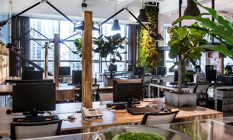 原木風辦公室裝修設計特點