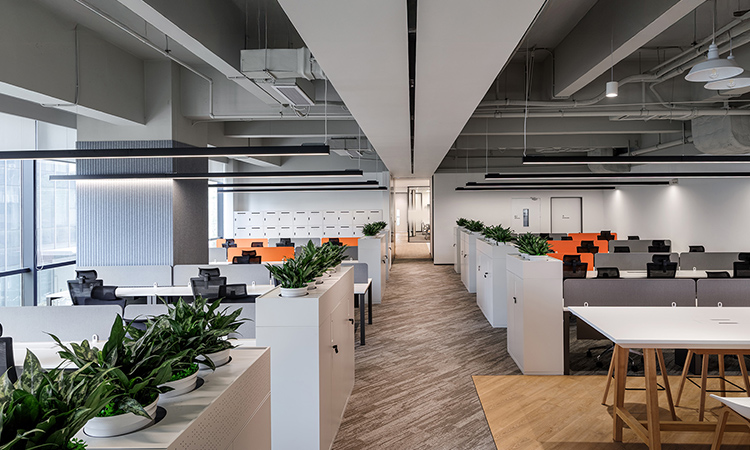 生物醫(yī)藥公司辦公室裝修要點(diǎn)