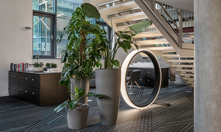 上海綠化辦公空間設計效果